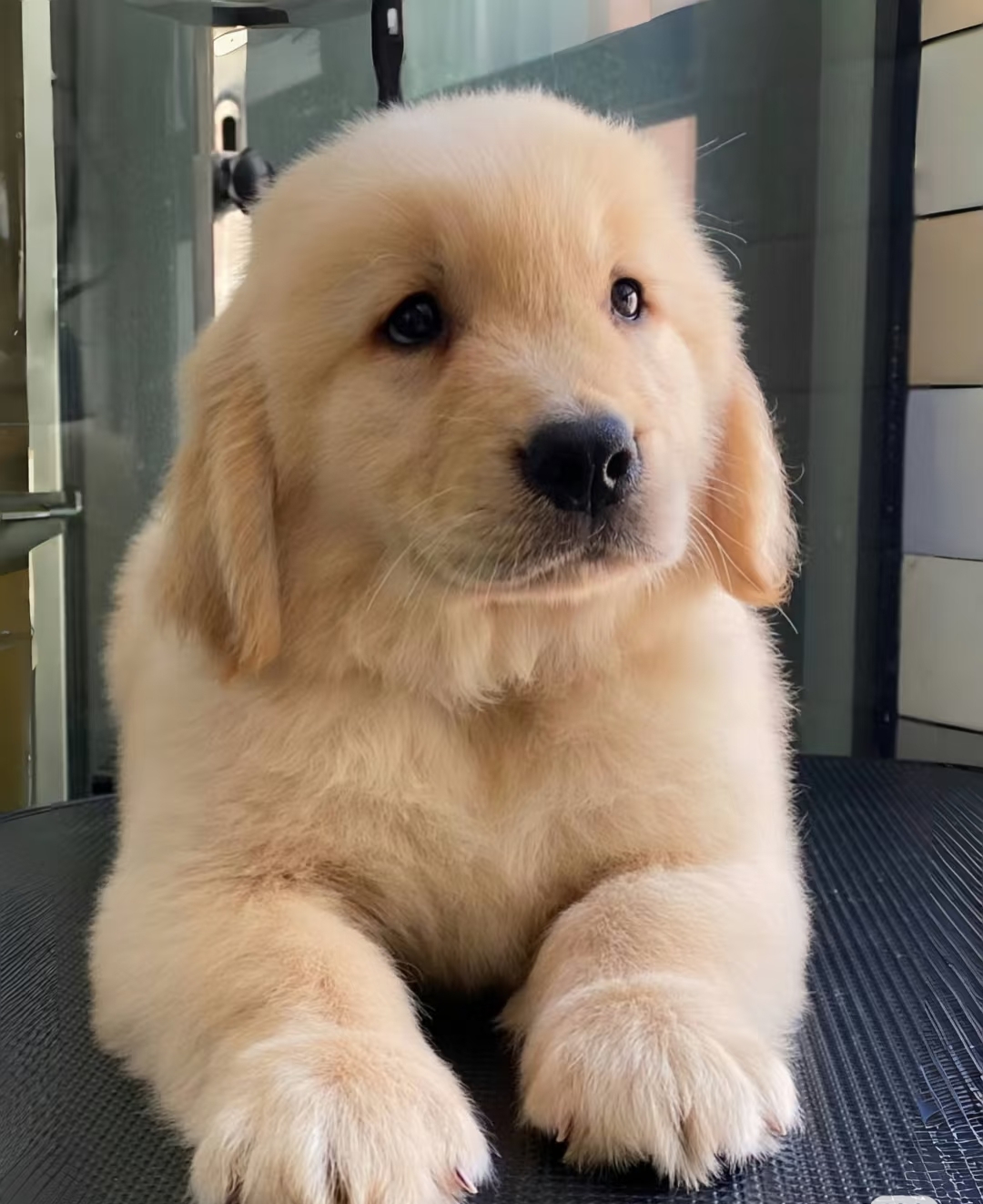 大暖男，大帅哥